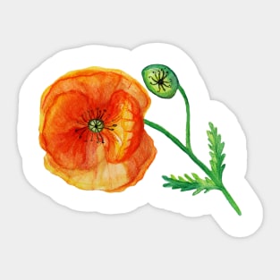 Poppy Flower in Red Sticker